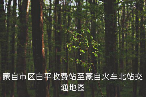 蒙自市區(qū)白平收費(fèi)站至蒙自火車北站交通地圖