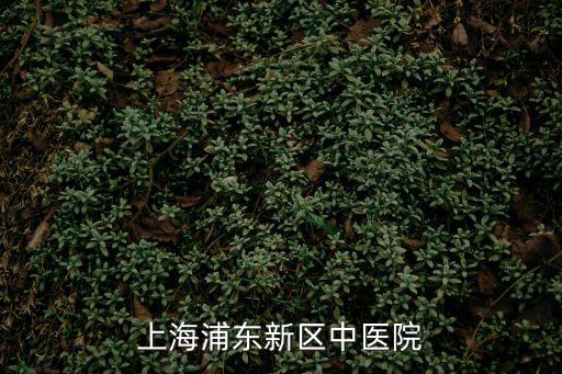 上海浦東新區中醫院