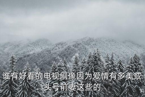 誰有好看的電視劇像因為愛情有多美或頭號前妻這些的