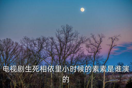 電視劇生死相依里小時(shí)候的素素是誰(shuí)演的