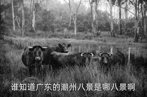 誰知道廣東的潮州八景是哪八景啊