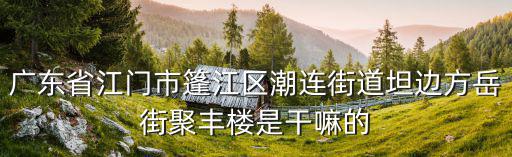 廣東省江門市篷江區(qū)潮連街道坦邊方岳街聚豐樓是干嘛的