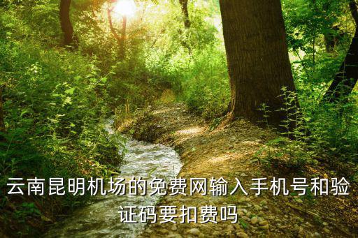 免費機場，云南昆明機場的免費網(wǎng)輸入手機號和驗證碼要扣費嗎