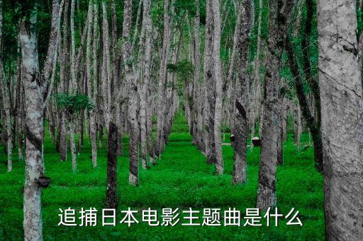 追捕日本電影主題曲是什么