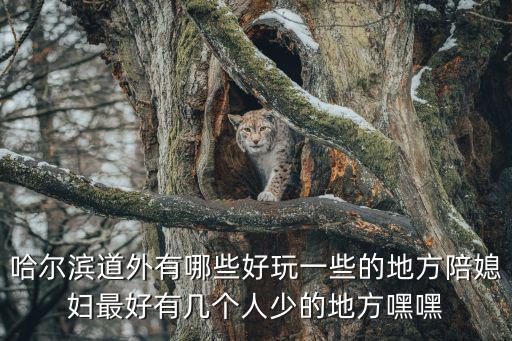 哈爾濱道外有哪些好玩一些的地方陪媳婦最好有幾個人少的地方嘿嘿