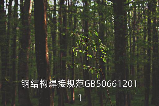 鋼結構焊接規范GB506612011