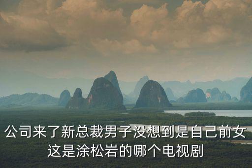 公司來了新總裁男子沒想到是自己前女這是涂松巖的哪個電視劇