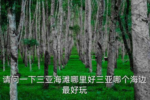 請問一下三亞海灘哪里好三亞哪個海邊最好玩