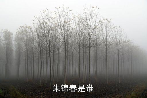 朱錦春，朱錦春的介紹