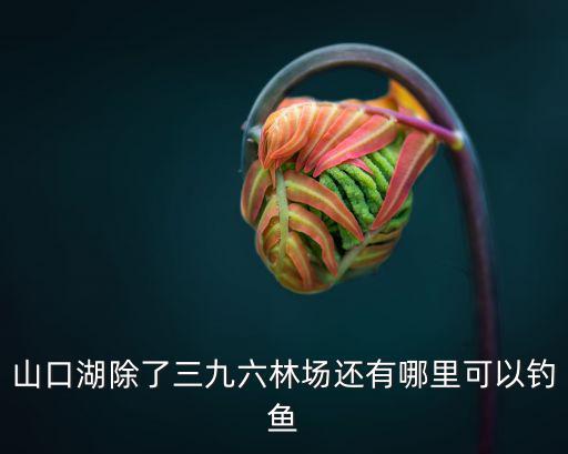 山口湖，北安有什么風景點么