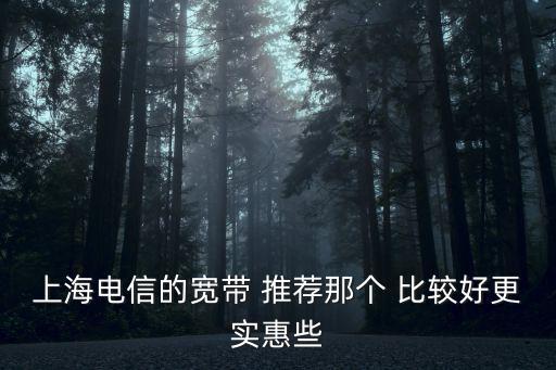 上海電信的寬帶 推薦那個 比較好更實惠些