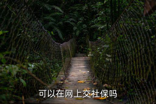 可以在網上交社保嗎