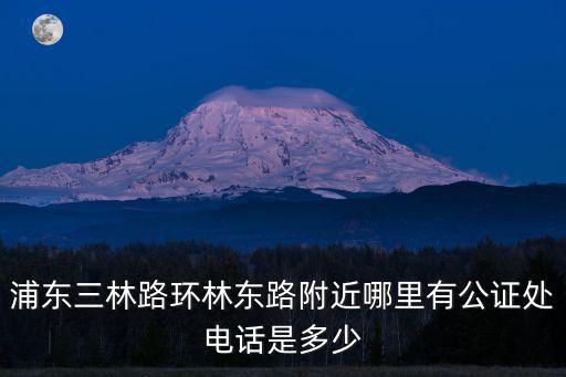 浦東三林路環林東路附近哪里有公證處電話是多少