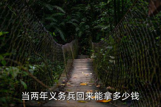 義務兵兩年能拿多少錢，當兩年義務兵退伍后有多少錢