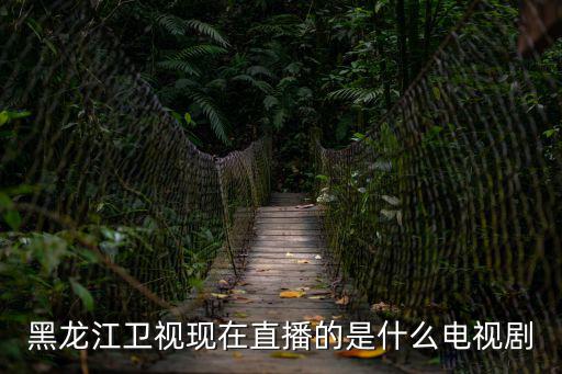 黑龍江衛(wèi)視現(xiàn)在直播的是什么電視劇