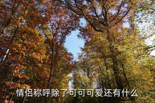 情侶稱呼除了可可可愛還有什么