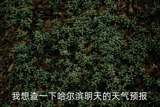 我想查一下哈爾濱明天的天氣預報