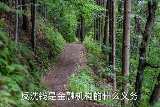 反洗錢是金融機構(gòu)的什么義務(wù)