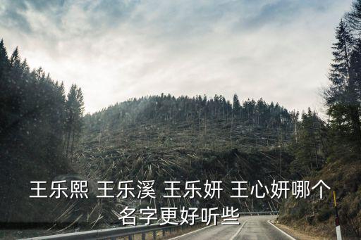 王樂妍，怎么理解王樂妍王心如是怎樣這個詞