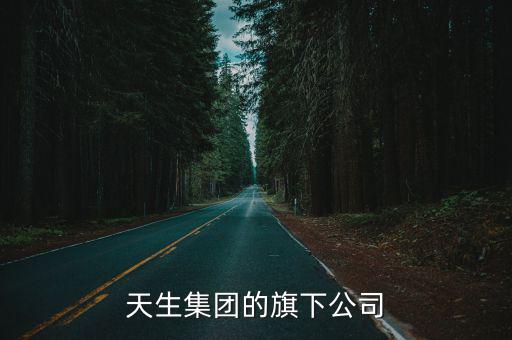 天生集團的旗下公司