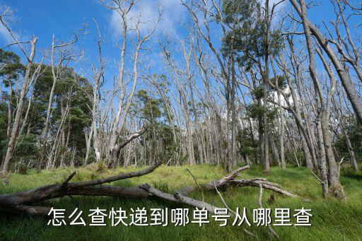 極地快遞單號查詢，查詢快遞到哪了