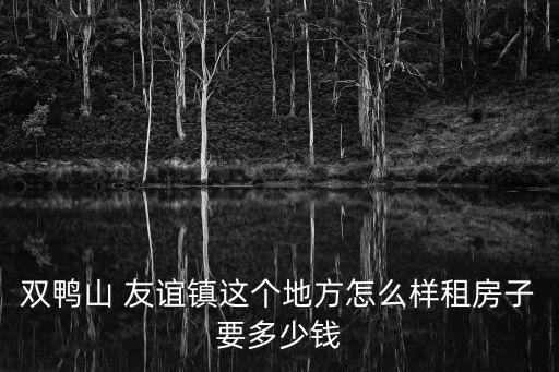 雙鴨山 友誼鎮這個地方怎么樣租房子要多少錢