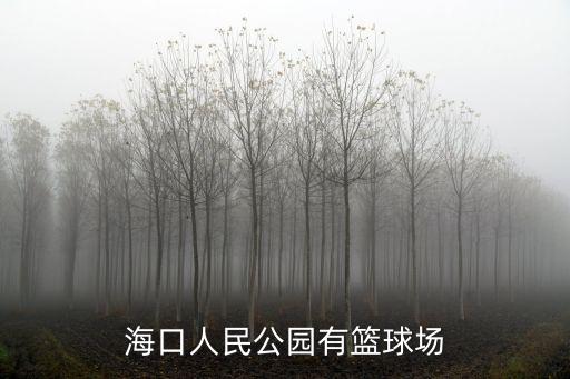 海口人民公園有籃球場