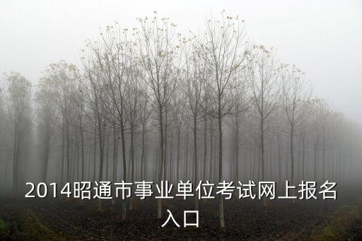 2014昭通市事業(yè)單位考試網上報名入口