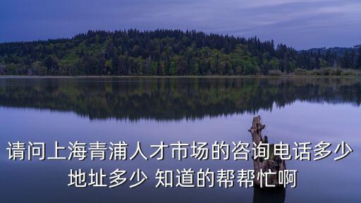 青浦人才服務中心，請問上海青浦人才市場的咨詢電話多少 地址多少 知道的幫幫忙啊