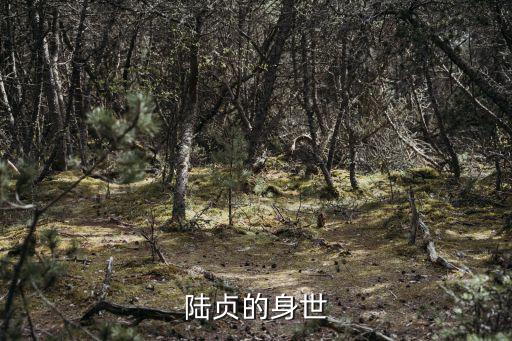陸貞的身世