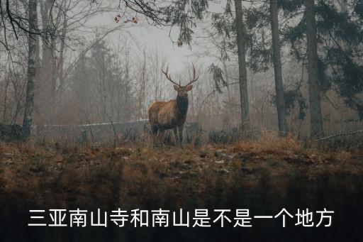 三亞南山寺，三亞南山寺天涯海角大小洞天