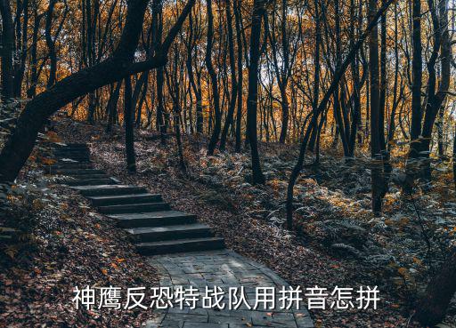 神鷹反恐特戰隊用拼音怎拼