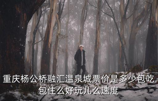 重慶楊公橋融匯溫泉城票價是多少包吃包住么好玩兒么速度