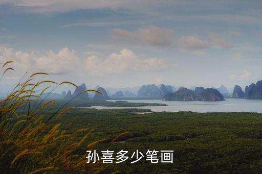 孫喜多少筆畫