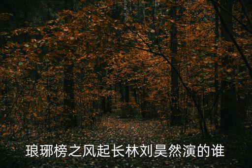 瑯琊榜之風起長林劉昊然演的誰