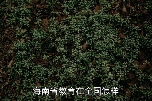 海南省教育在全國怎樣