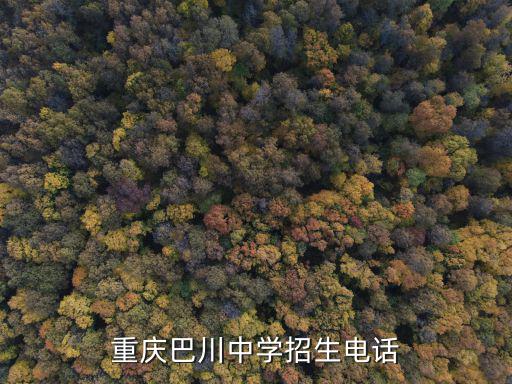 重慶市巴川中學(xué)，重慶銅梁巴川中學(xué)好不好