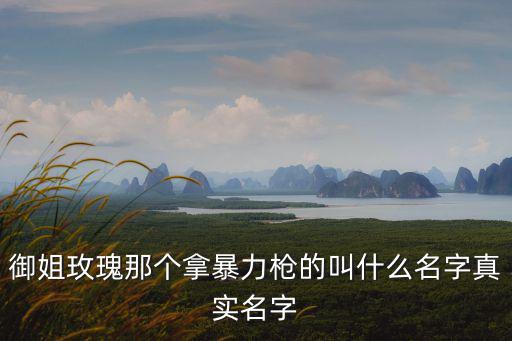 御姐玫瑰那個拿暴力槍的叫什么名字真實名字