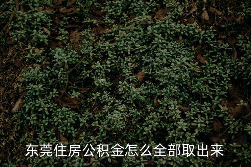 東莞住房公積金怎么全部取出來