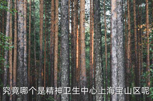 究竟哪個(gè)是精神衛(wèi)生中心上海寶山區(qū)呢