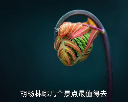 胡楊林哪幾個景點最值得去