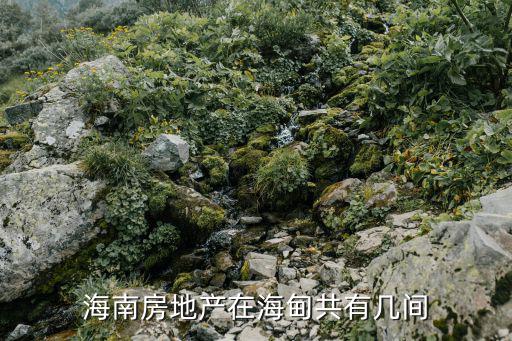 海南房地產在海甸共有幾間