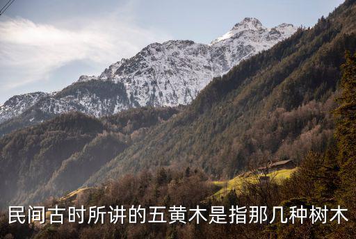 民間古時所講的五黃木是指那幾種樹木