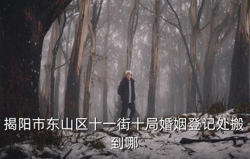揭陽市東山區十一街十局婚姻登記處搬到哪
