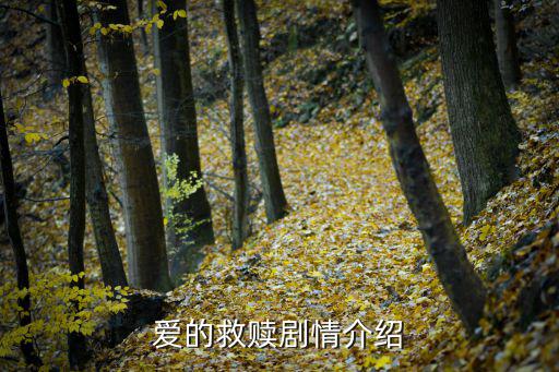 愛的救贖劇情介紹