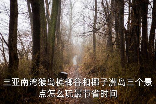椰子洲島，子子洲島是不是屬于南山區