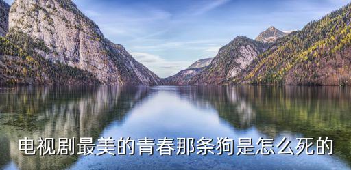 電視劇最美的青春那條狗是怎么死的