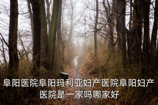瑪利亞婦產(chǎn)醫(yī)院，阜陽醫(yī)院阜陽瑪利亞婦產(chǎn)醫(yī)院阜陽婦產(chǎn)醫(yī)院是一家嗎哪家好