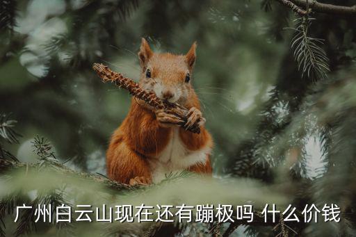 廣州白云山現在還有蹦極嗎 什么價錢