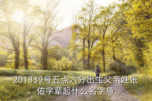 201339號五點六分出生父親姓張佑字輩起什么名字急